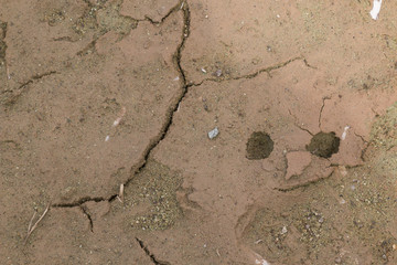 Broken wall with a face looking damage