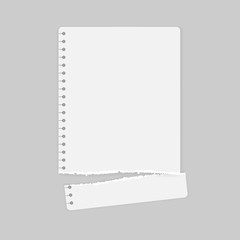 Torn white note, notebook strip, paper piece with soft shadow on white background. Vector illustration