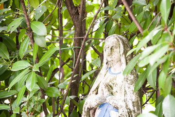 treviso, italy, 06/12/2019 , Very old statue of Holy Mary in a private garden in Italy.