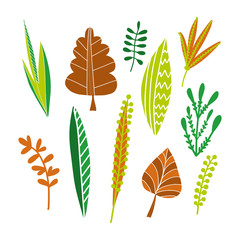 Collection of leaves
