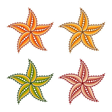 Set of four colored starfish for design. Vector illustration isolated on white background