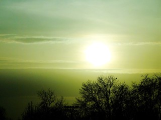 Sun in the sea of clouds with silhouette of trees and birds. Natural landscape of sunrise and sunset with golden yellow sky background and silhouette of tree branches.