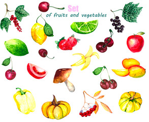 Watercolor collection: cherry, currant, strawberry and viburnum, Apple, banana, citrus, pumpkin, mushrooms, pepper. Vitamin set of fruits vegetables and berries on a white background for illustrations