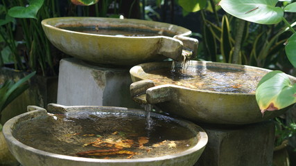 kettle on stove.тайланд.ботанический сад.