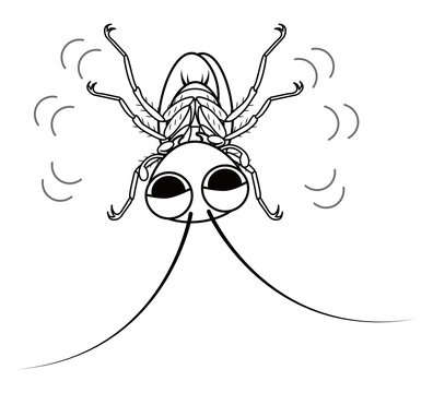 87 Best クロゴキブリ Images Stock Photos Vectors Adobe Stock 87 Best クロゴキブリ Images Stock Photos Vectors Adobe Stock