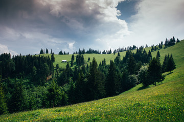 Naklejka premium Beautiful landscape from Transylvania, Romania