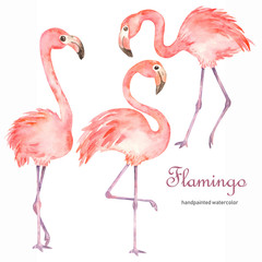 Watercolor set with pink cute flamingos