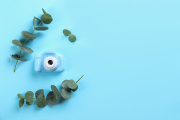 Toy camera and eucalyptus on light blue background, top view. Space for text