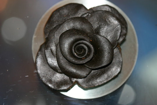 Rose aus schwarzem Afghane