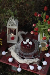 christmas cake with candle
