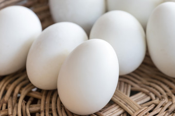 Many white duck eggs placed in a basket