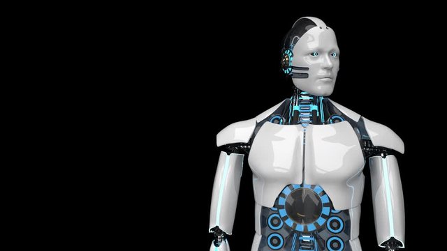 Thinking Humanoid Robot