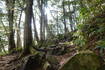 Fototapeta premium Trails of Jonen mountains (Japan alps / Japanese mountains)