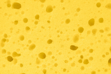 abstract yellow sponge texture background, closeup