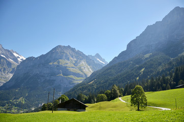 A breezy summer with beautiful greenery during the way to Jungfraujoch, Switzerland.