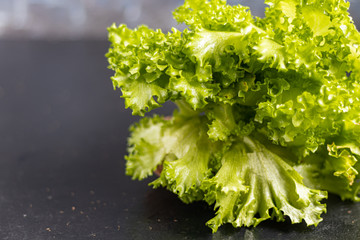 Green lettuce on a dark background. Healthy and healthy food. Can be added to vegetarian salads.