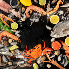 Fish and seafood variety, a square flatlay top shot, a frame with copy space on a dark background. Sea bream, shrimps and prawns, crab, sardines, squid, mussels and other fresh products on ice