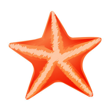 cartoon graphic orange starfish isolated on white baclground