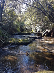 Blue Mountains Waterfall