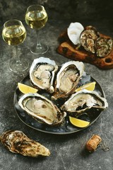 Giant fresh uncooked oysters in a shell with lemon on ice. Healthly food.