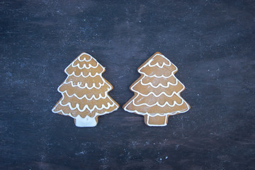 tasty homemade gingerbread houses on a dark background