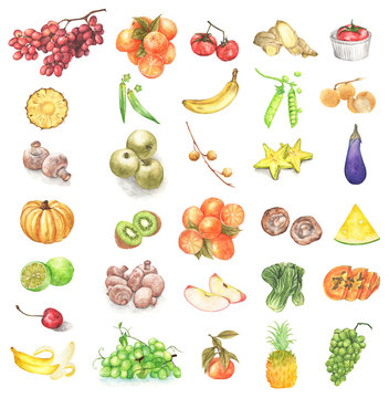 Watercolor painted collection of fresh fruits and vegetables. Hand drawn fresh food design elements isolated on white background.
