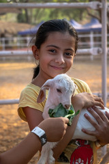 little girl with her little lamb at an animal rescue home 