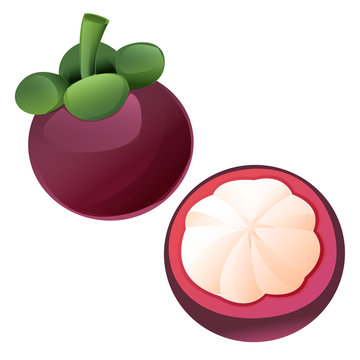 graphic cartoon mangosteen fruit full and half slice isolated on white background