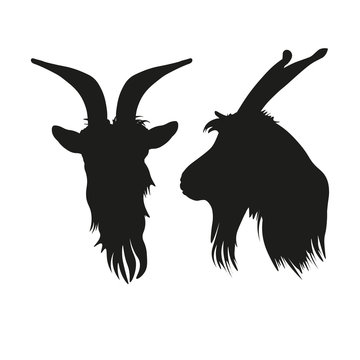 Silhouettes Of Goat Head Portrait Front And Side.