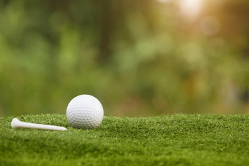 golf ball is on a green lawn in a beautiful golf course