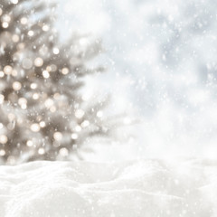 Winter background of snow and free space for your decoration.Xmas tree and frost with ice. 