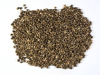 Many Cannabis hemp seeds laying on the table