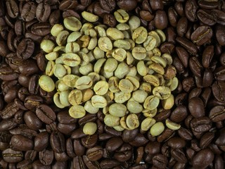 Green and Black coffee beans roasted and raw