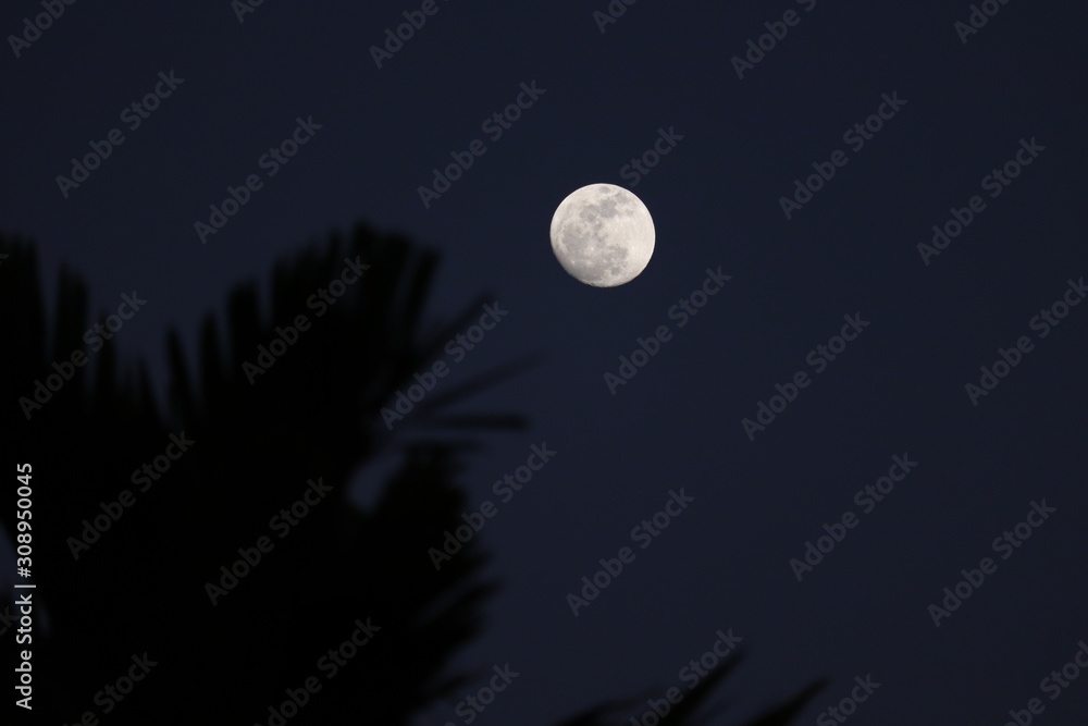 Wall mural full moon and moon