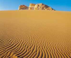 Full length view of dessert 