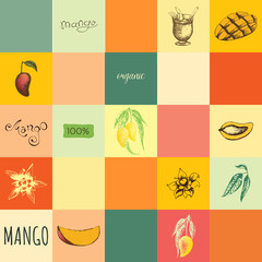 Fototapeta premium Vector seamless pattern with mangoes fruits and scripts, leaves and smoothie. Hand drawn Thai mango and flowers. For textile package, t shirt, wallpaper and fabric, tablecloth and kitchen design