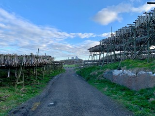 Drying fishes before the most remote soccer field, ⁨Heimøya⁩, ⁨Henningsvær⁩, ⁨Norway⁩