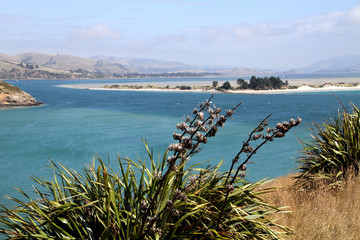 Otago-Halbinsel, Neuseeland