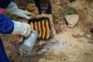 worker with chainsaw