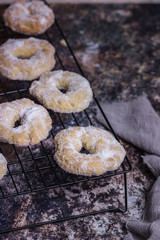 Ring-shaped pastries over an oven rack over a dark surface