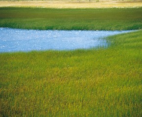 Fototapeta premium 12670016