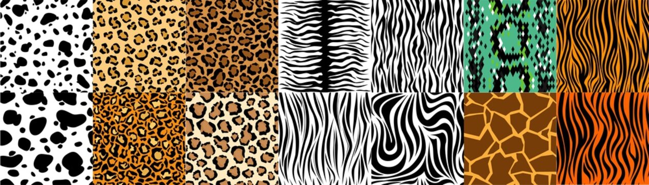 Collection of natural seamless patterns with coat, skin of fur textures of  wild exotic animals - zebra, snake, tiger, leopard, giraffe. Flat vector  illustration for wrapping paper, textile print. Stock Vector |