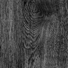 A Wood structure on a black and white background, suitable for cover and cover sheet. Ideas for your graphic design, banner, poster, packaging, for site or more
