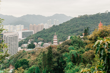 City view from the temple of 1000 buddhas