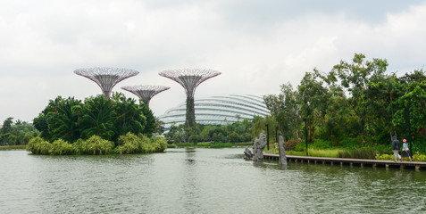 Fototapeta na wymiar Supertree Grove in Marina Bay, Singapore
