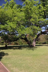 Simbabwe, Botsuana, Okawango
