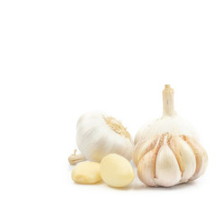 Fresh Organic Garlic Bulbs and Garlic Cloves (Allium sativum) isolated on white background. concept Herbal and Vegetable extracts are medications for Reduce heart disease risk and relieve colds.
