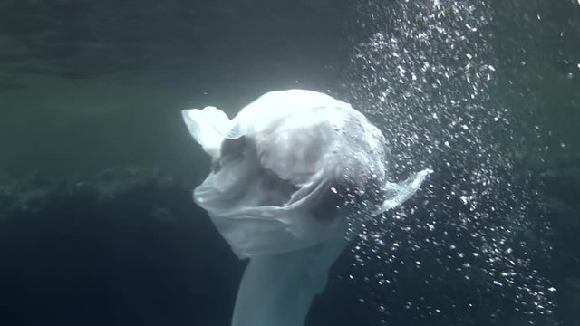 Young woman underwater model in white cloth on background of blue water. Concept of creativity and art of creating images.