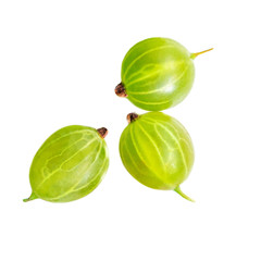 Group of green Gooseberry. Fresh berries isolated on white background. Flat lay. Top view