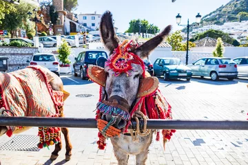 Deurstickers donkey from Mijas town © Val Thoermer